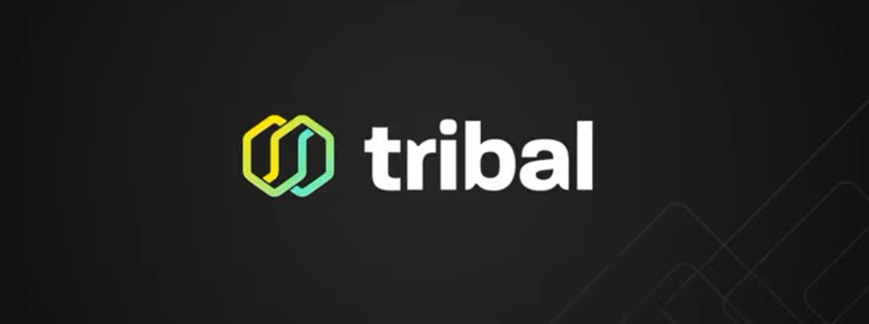 Tribal Token (TRIBL) Token Unlocks and Vesting: Schedule and Tokenomics | bitcoinlove.fun