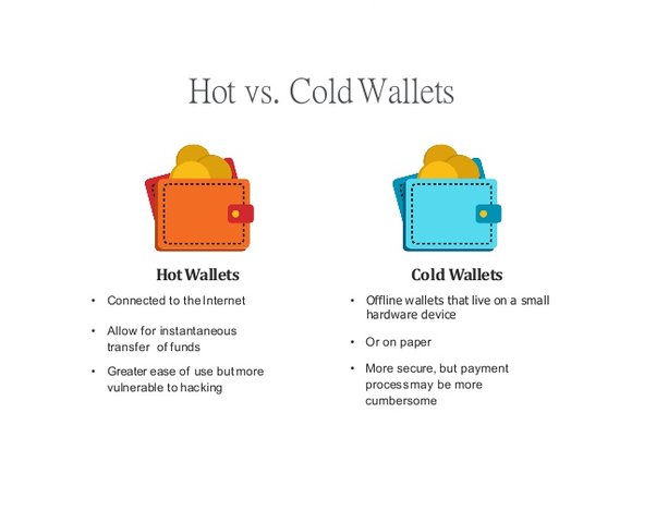 Hot Wallet vs Cold Wallet: What is The Difference? | CoinCodex