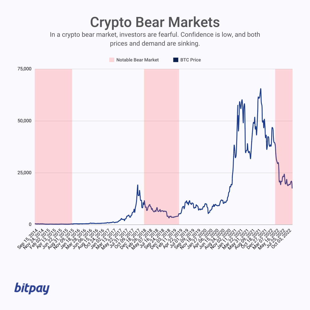 Crypto Blog | Learn Crypto | What do the terms Bull & Bear Market mean?