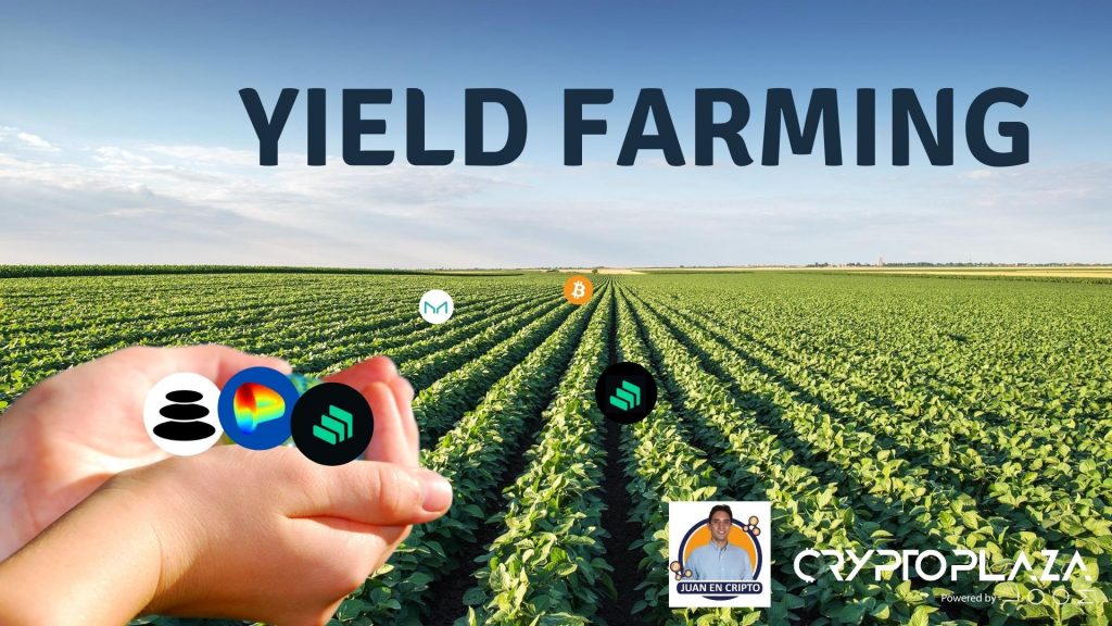 Crypto Understanding Yield Farming vs. Staking | TransitNet