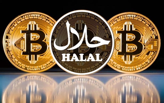 Halal Crypto Reports | Practical Islamic Finance