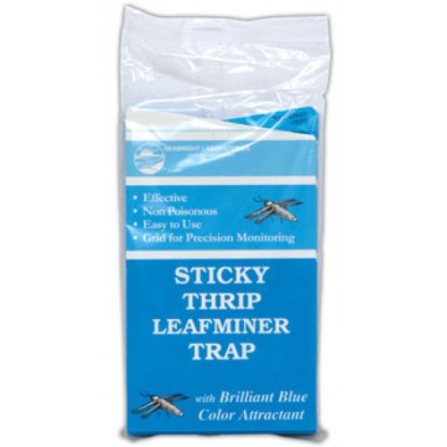 Eco-Citrus Leafminer Trap – Sydney Plant Co