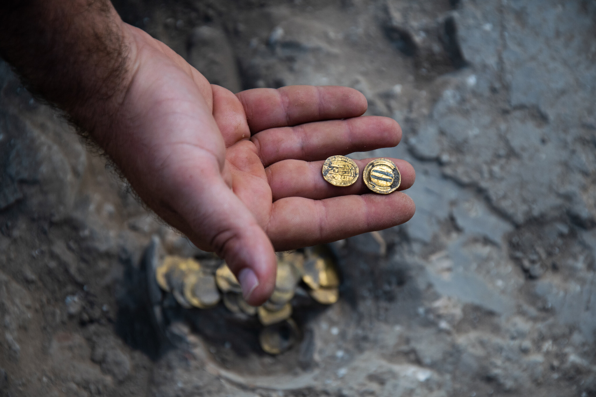 Kentucky hoard gold coin collection discovered in cornfield