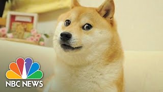 Happy Doge Meme Generator