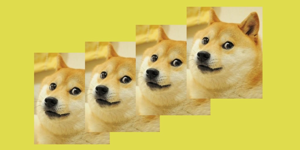 The Shiba Inu dog behind the doge meme turns 16 - CNET
