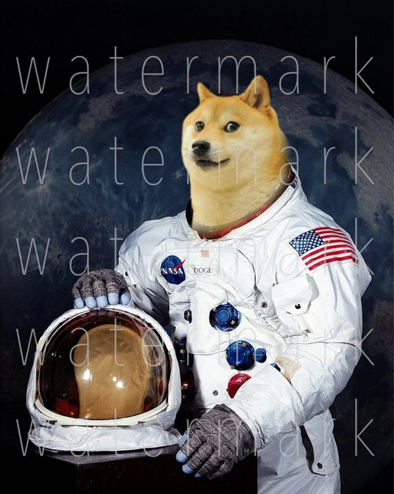 Dogecoin Wallet Guide - How to Store, Send and Receive DOGE Tokens | Coin Guru