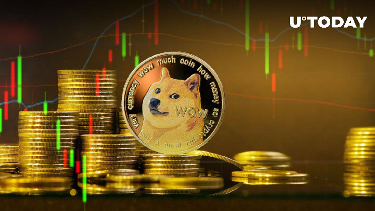 Doge Rocket (DOGERKT) Цена, Графики, Рыночная капитализация | CoinMarketCap