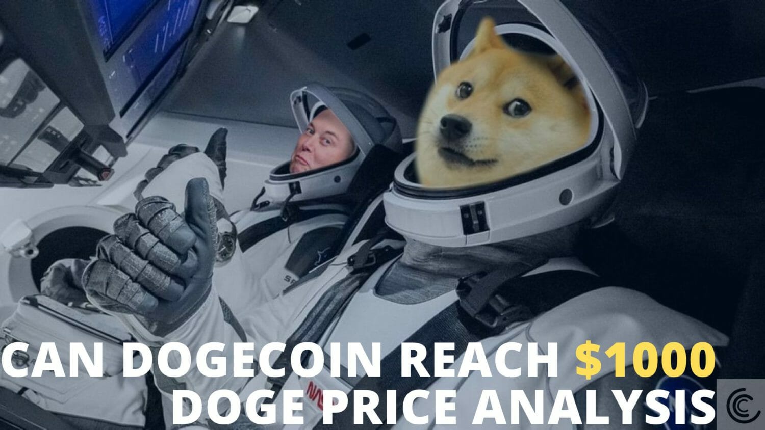 'When #shiba?' ask Robinhood users hungry for dogecoin-like returns | Reuters