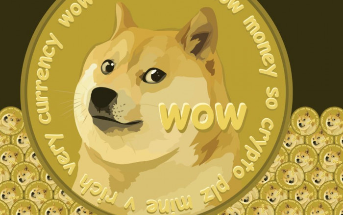 Dogecoin Price | DOGE Price Index and Live Chart - CoinDesk