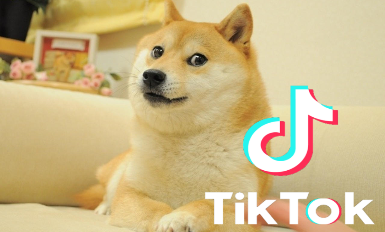 Dogecoin Official TikTok Music - iye - Listening To Music On TikTok Music