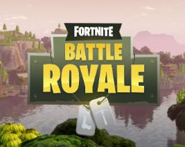 Fortnite Creator Epic Games’ CEO Calls Fortnite Crypto A ‘Scam’ | BitPinas