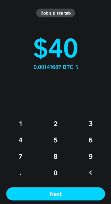 How to Send Bitcoin on Cash App to Another Wallet - Zengo