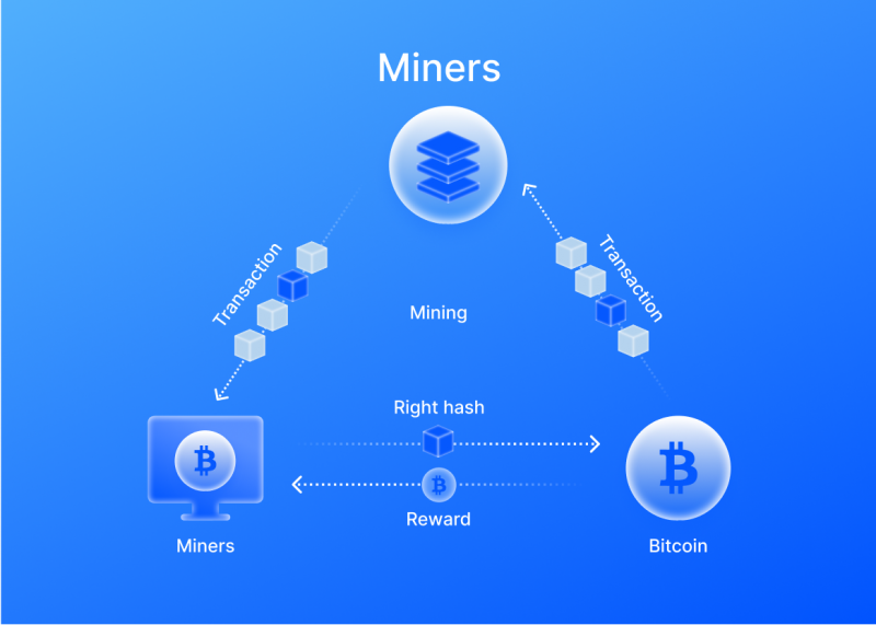 What Is a Node?