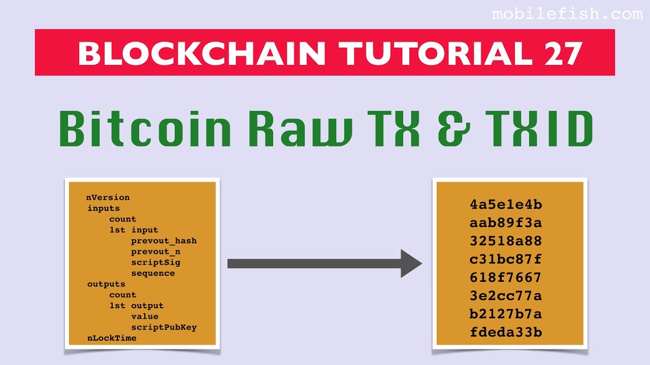 Blockchain Transaction IDs: A Beginner's Guide - Crypto Ummah