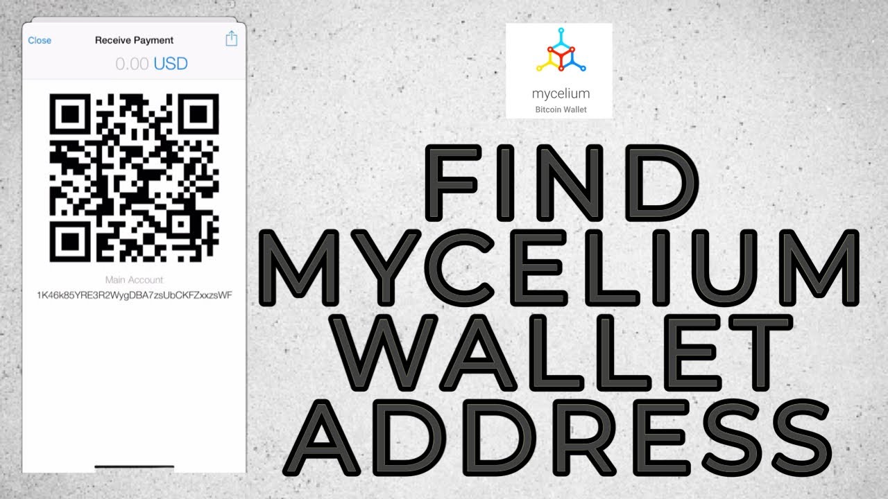 Mycelium Wallet: Detailed Review and Full Guide on How to Use It