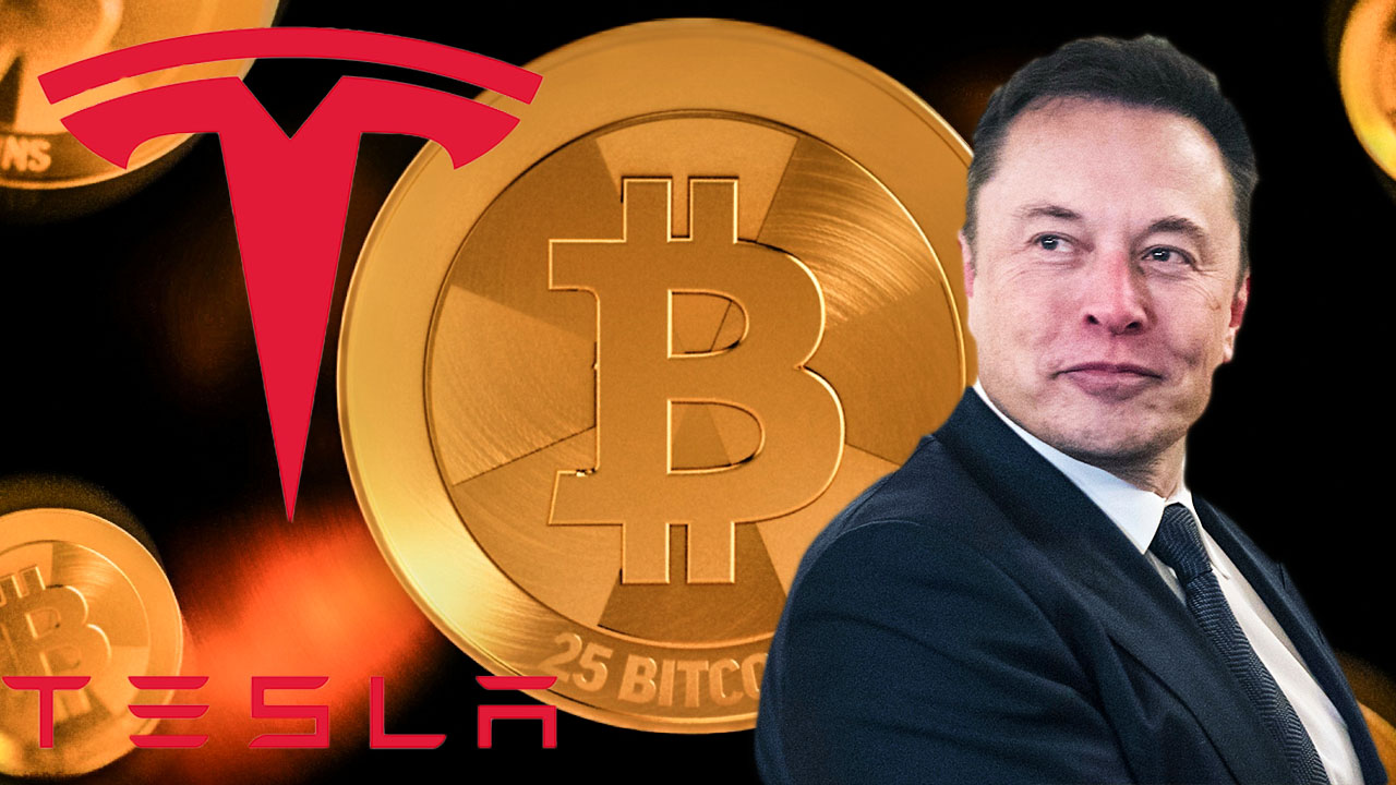 Bitcoin's 50% crash erases all of Elon Musk's gains on Tesla's balance sheet | Fortune