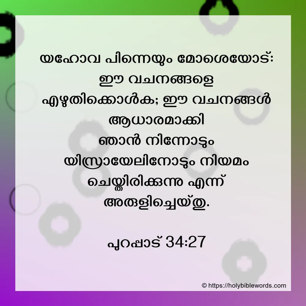 book of exodus meaning in Malayalam | book of exodus translation in Malayalam - Shabdkosh