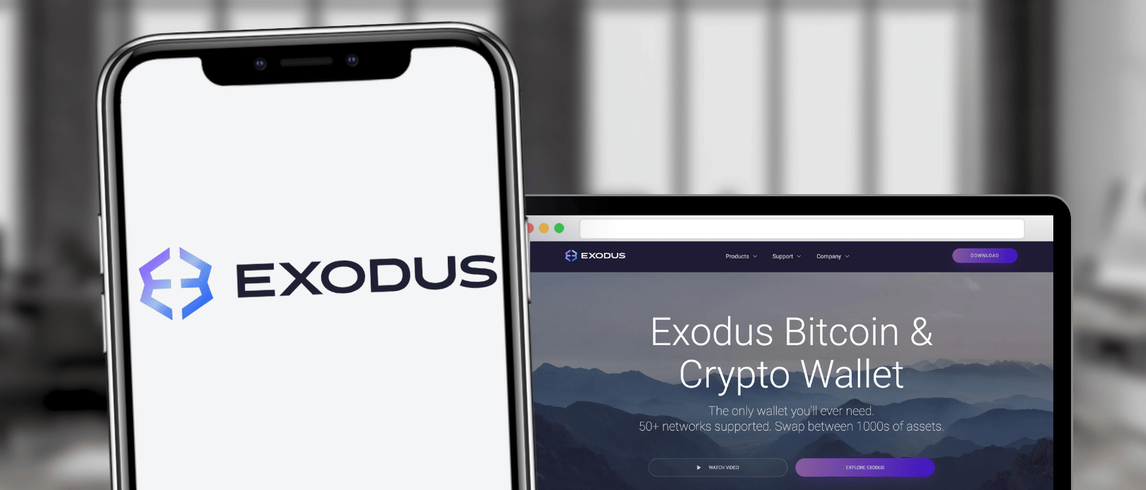 How to Withdraw Crypto from Exodus Wallet - Zengo