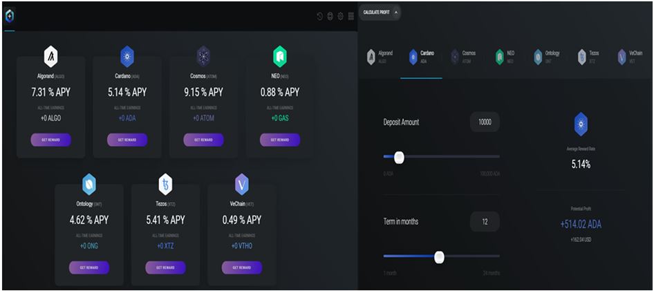 Polkadot Staking and Rewards - Nodivity