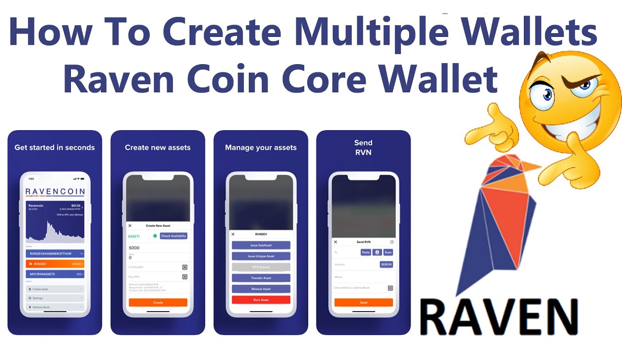 What is a Ravencoin Wallet? How to Setup Ravencoin Wallet - bitcoinlove.fun