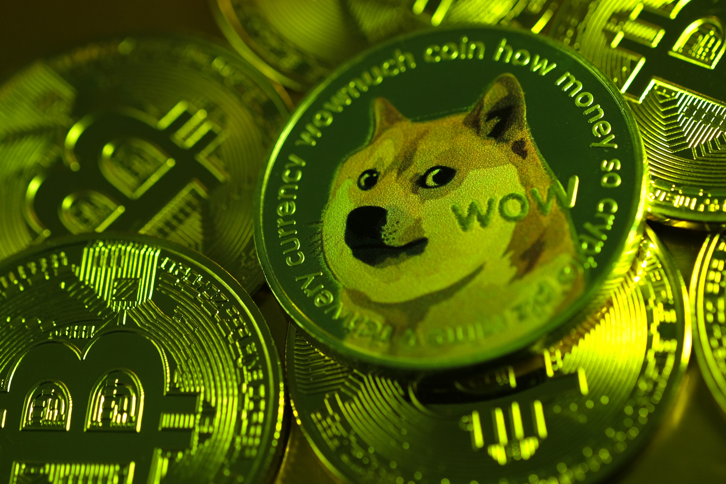 Will Dogecoin Reach $1? | CoinCodex