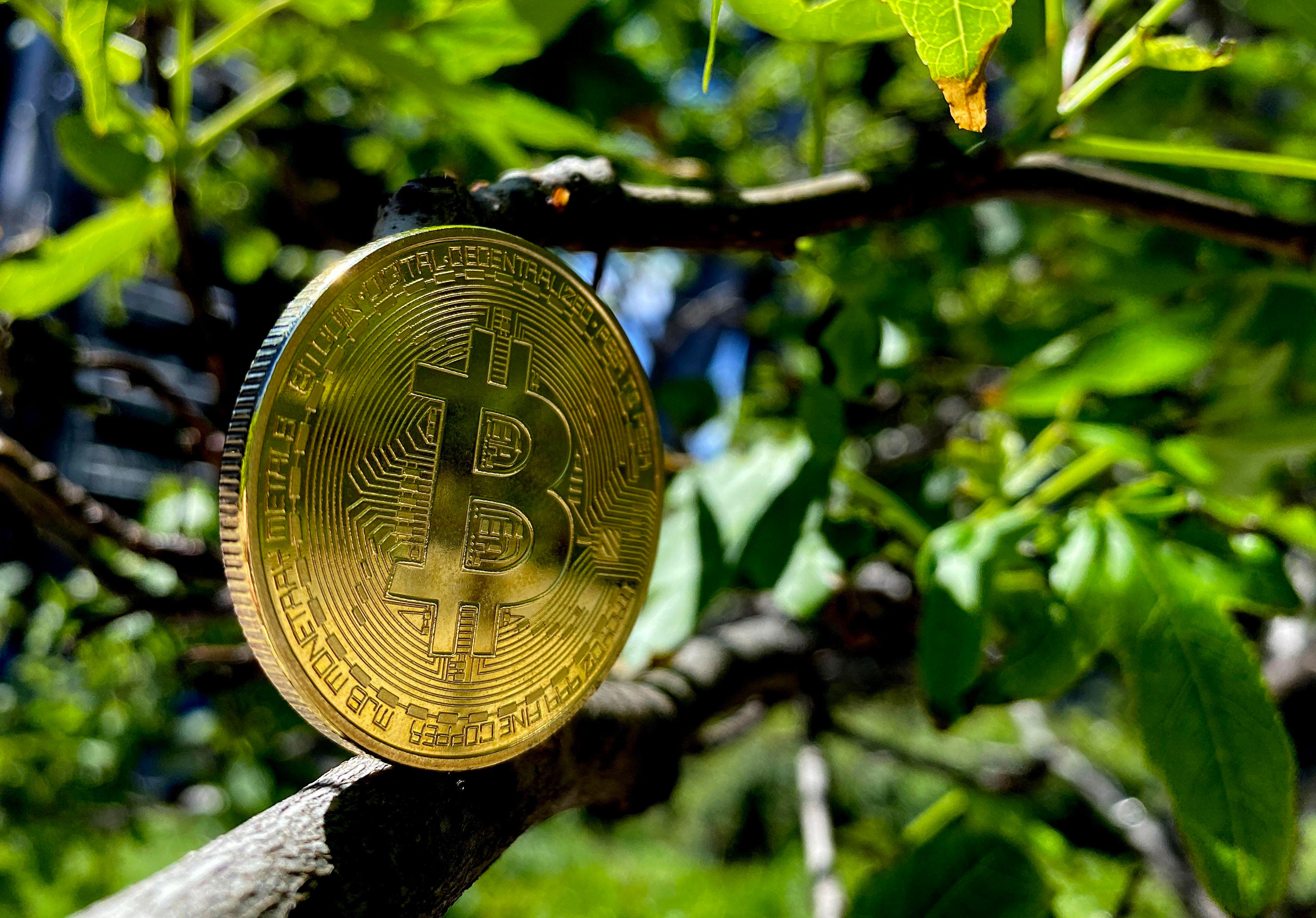 In unexpected twist Bitcoin mining could help wind and solar