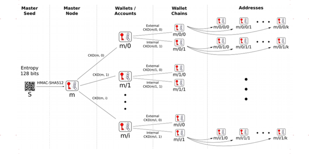 What Are HD Wallets? (Hierarchical Deterministic) With Examples