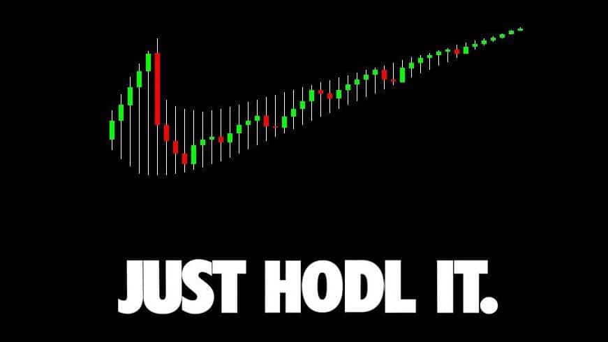 HODL Meaning In Cryptocurrency? A Detailed Explanation