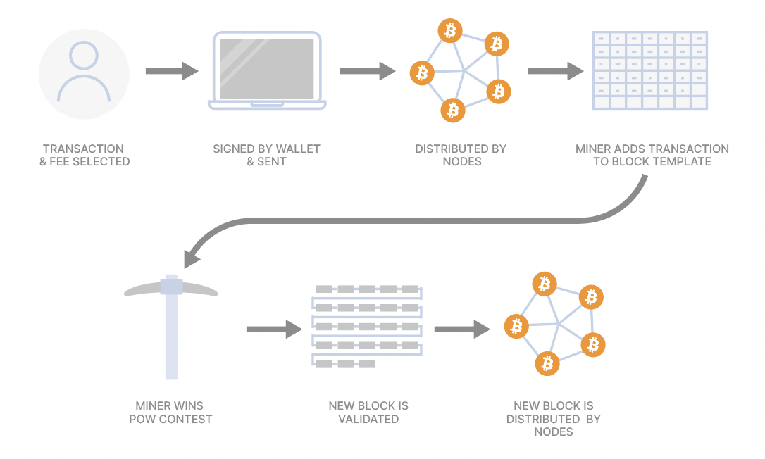 Bitcoin Node: Definition & How To Run One For Free () - Athena Alpha