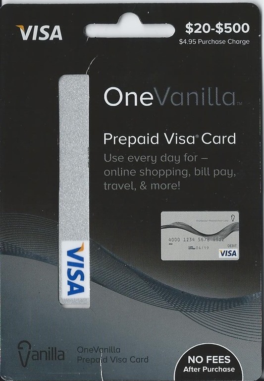 OneVanilla Prepaid Visa Cards Make Shopping Easy | Pieces of a Mom