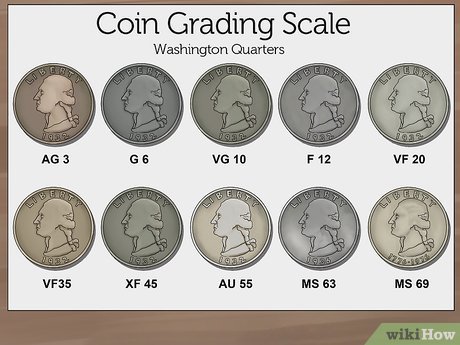 Coin Grading Basics – Dave's Collectible Coins , America's Favorite Coin Shoppe