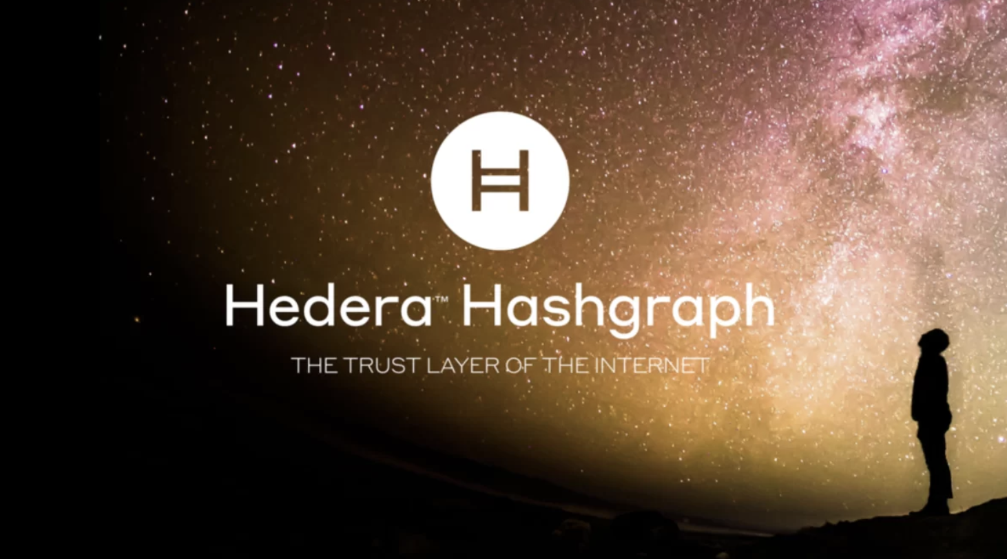 Investing in Hedera Hashgraph (HBAR) - Everything You Need to Know - bitcoinlove.fun