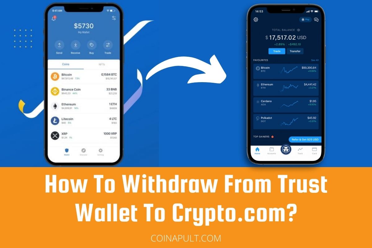 How to withdraw from Trust Wallet | Pyypl