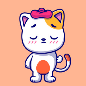 Kitty AI price now, Live KITTY price, marketcap, chart, and info | CoinCarp