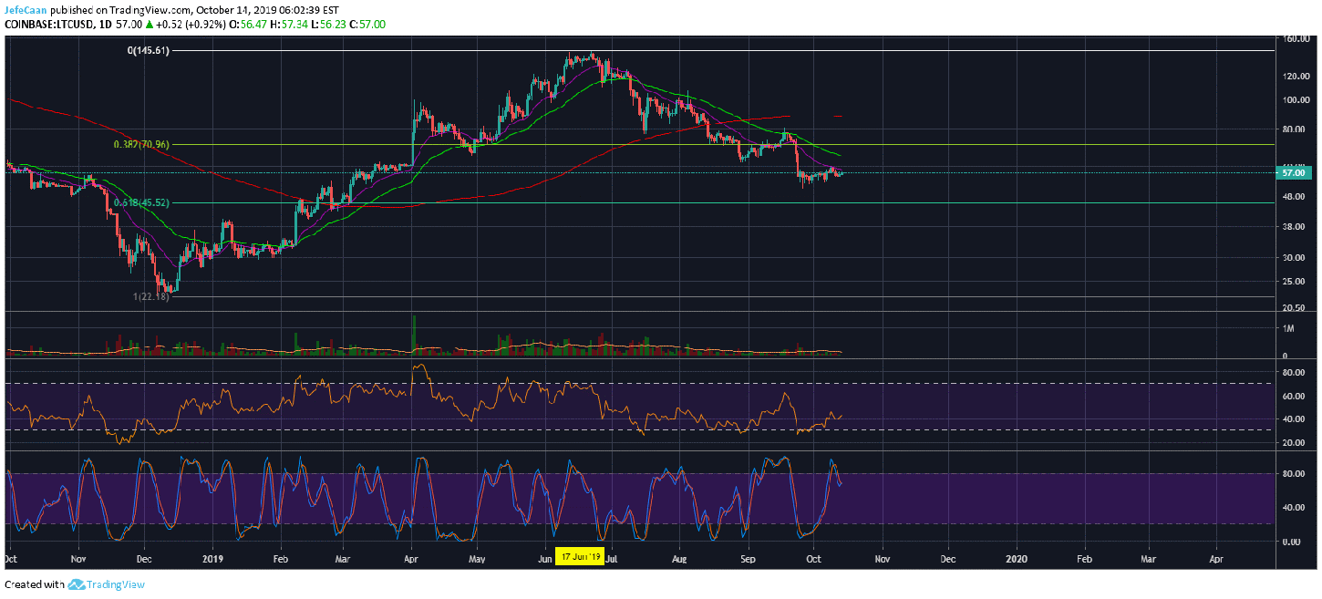 Litecoin Price Prediction - LTC's halving and its lessons for - AMBCrypto