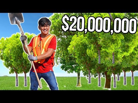 YouTubers Are Raising Money to Plant 20 Million Trees #TeamTrees