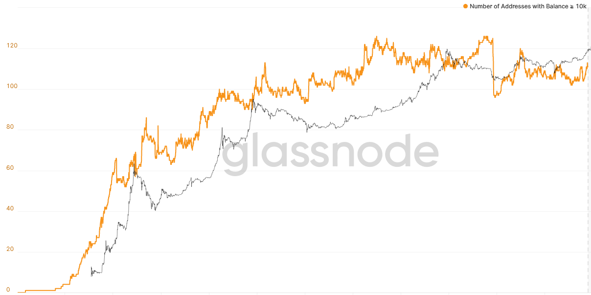 Active blockchain wallets drop % compared to previous quarter | DappRadar | VentureBeat