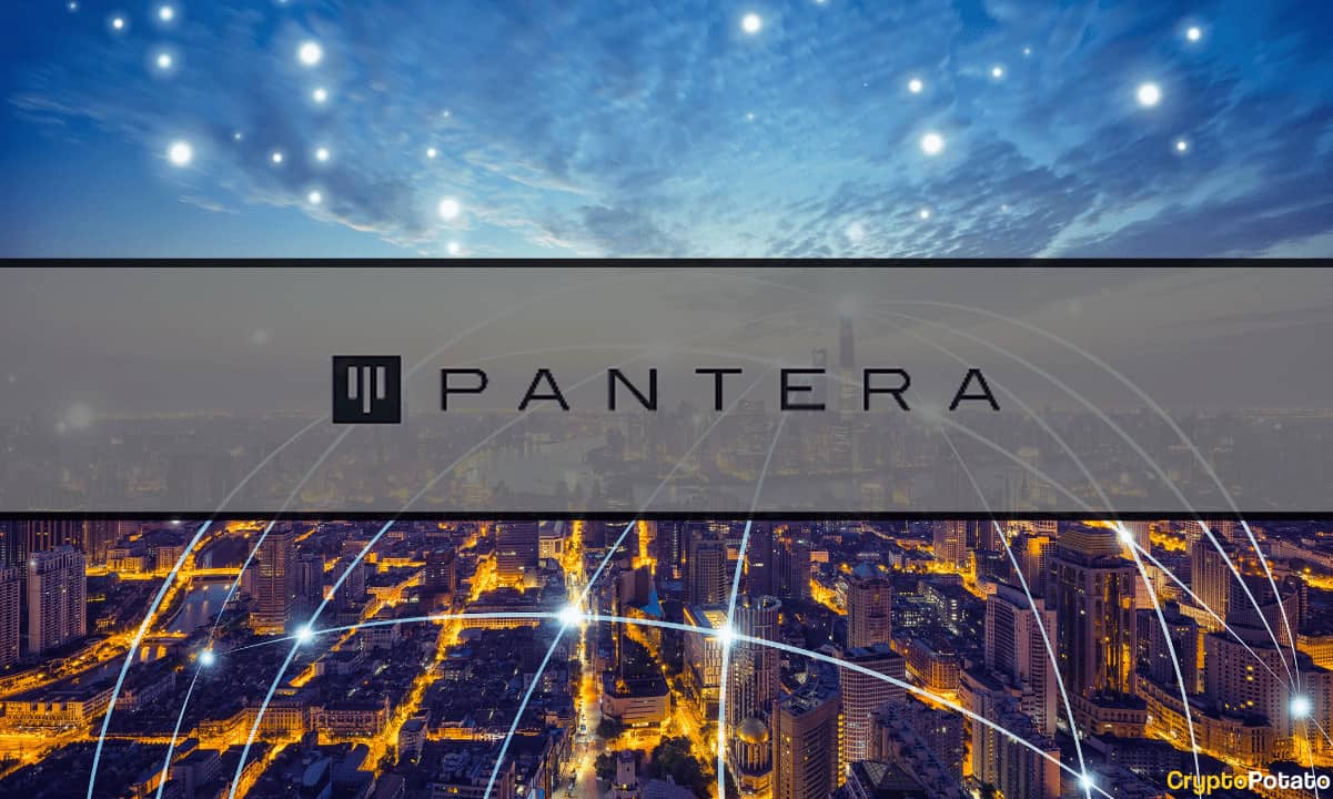 Portfolio Pantera Capital - Investment Fund | bitcoinlove.fun