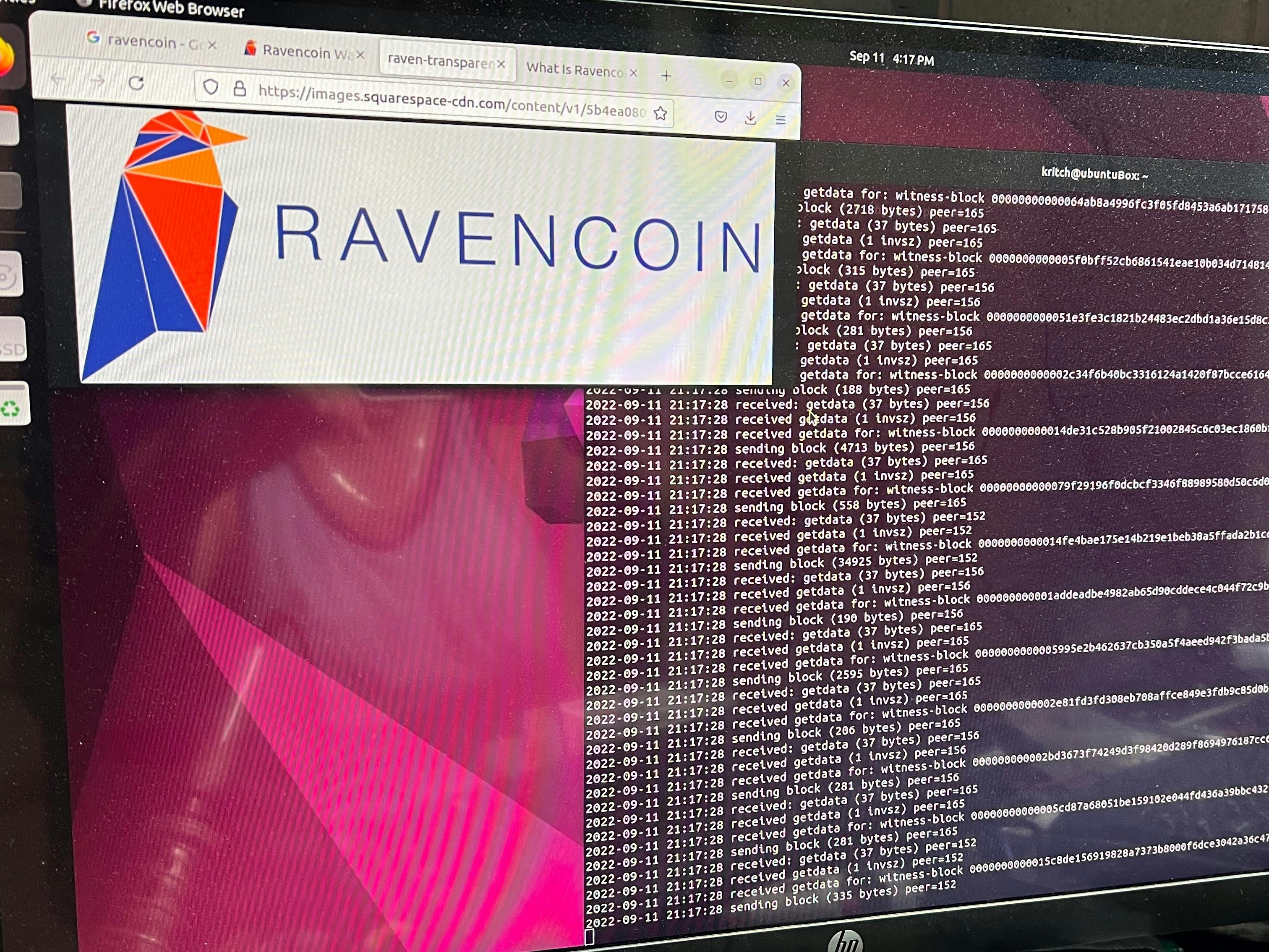 GitHub - ravenrebels/egowallet: Your own private web gui on top of Ravencoin wallet Raven Core