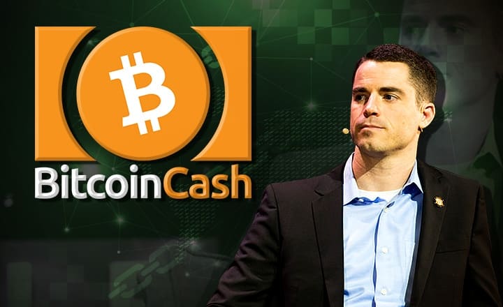 Bitcoin Cash Price Prediction and Beyond