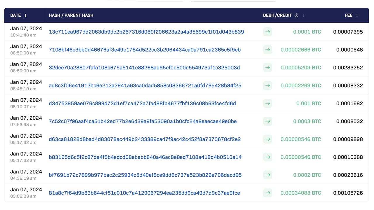 Satoshi Bitcoin (BTC) Wallet Mystery: $ Million Transaction Landed