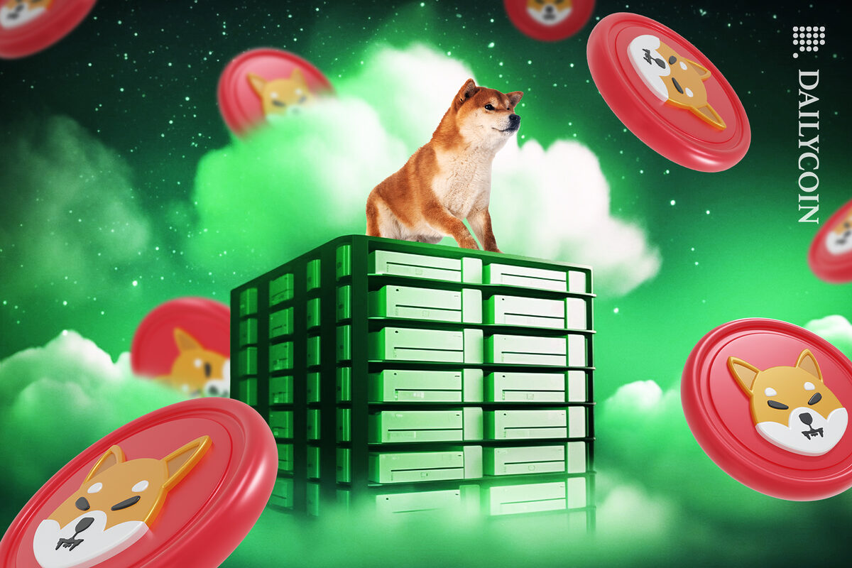 What Are The Safest Ways To Store Shiba Inu Coins? | Trading Education