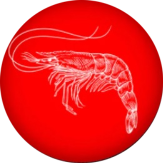 Shrimp Finance Price Today US | SHRIMP to USD live, Charts, Market Cap, News - Sahi Coin