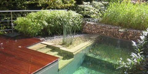 44 Natural Swimming Ponds And Pools - Shelterness