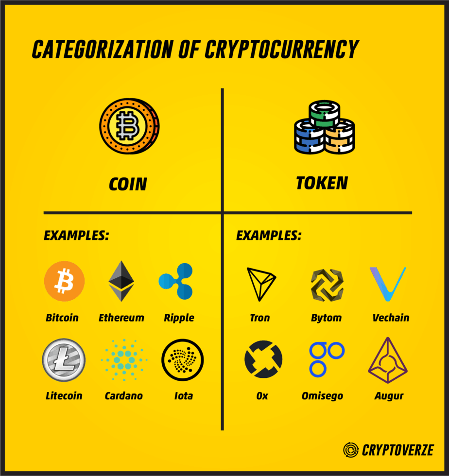 What is the difference between a crypto coin vs token? - AAG