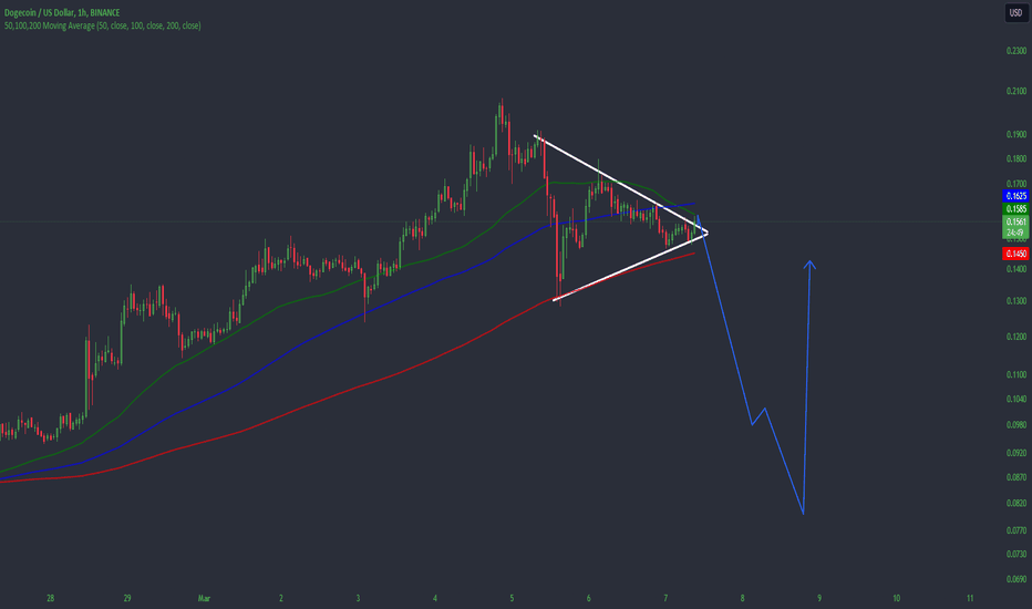 DOGE Trade Ideas — TRADERJOE:DOGEWAVAX_USD — TradingView