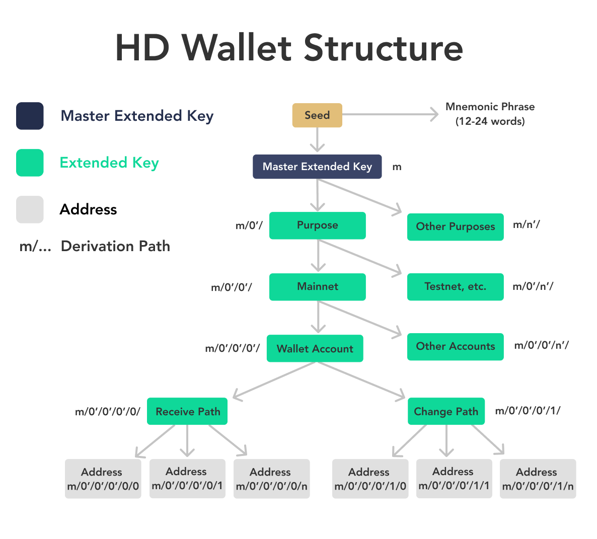 What Are HD Wallets? (Hierarchical Deterministic) With Examples