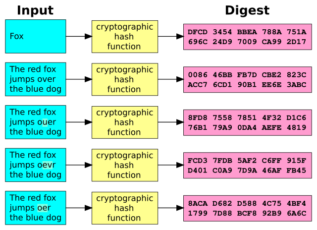 What Is the Purpose of Crypto Hashing? - TransitNet