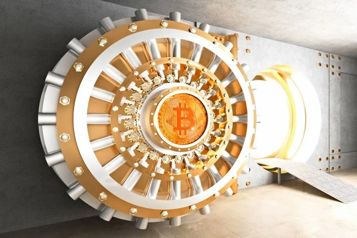 What is a Crypto Vault | Everything You Should Know