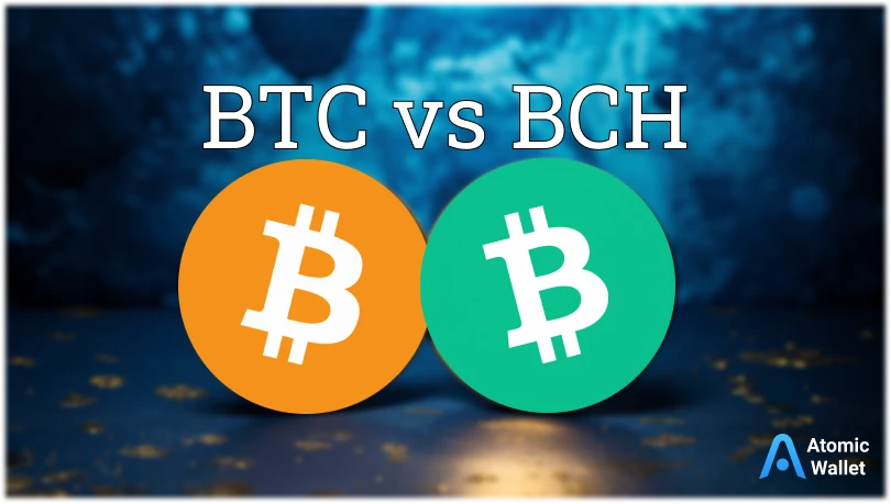 BTC vs. BCH vs. BSV: What Is The Difference? | Swaps app